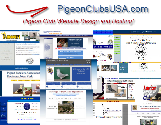 PigeonClubsUSA.com