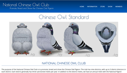 National Chinese Owl Club