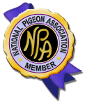 NPA