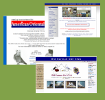 Our Services
