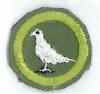 Boy Scouts of America Merit Badge