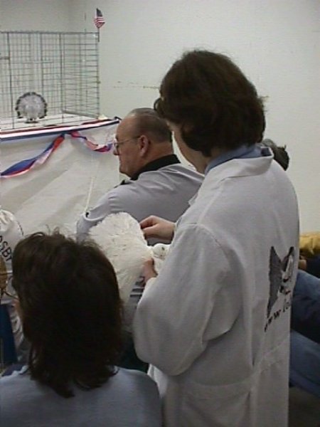 mvc008f2.jpg