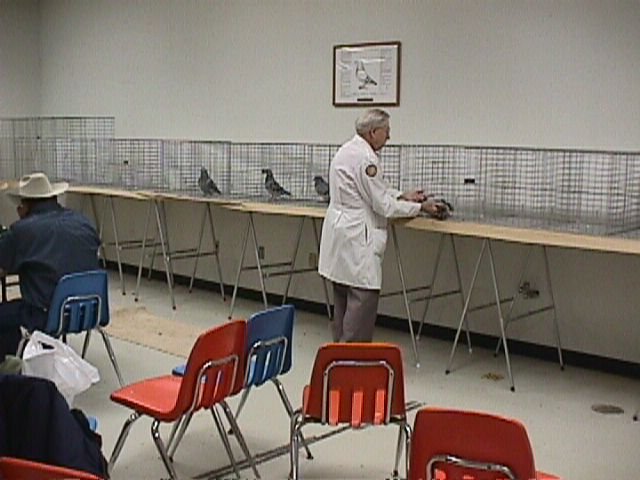 mvc012f.jpg