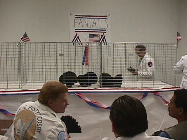 mvc014f.jpg