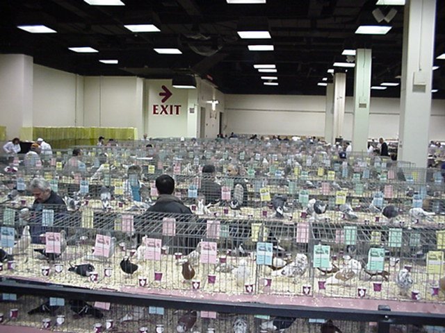 mvc065f.jpg
