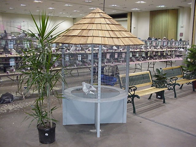 mvc068f.jpg