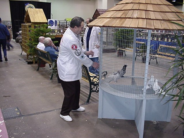 mvc094f.jpg