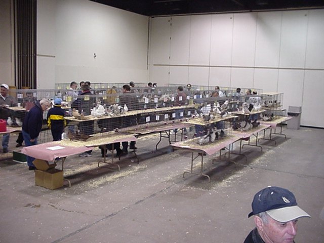 mvc102f.jpg