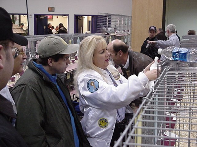 mvc152f.jpg
