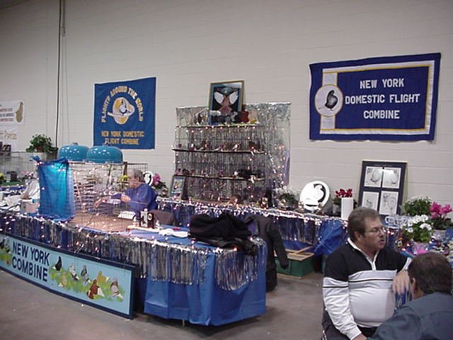 mvc171f.jpg
