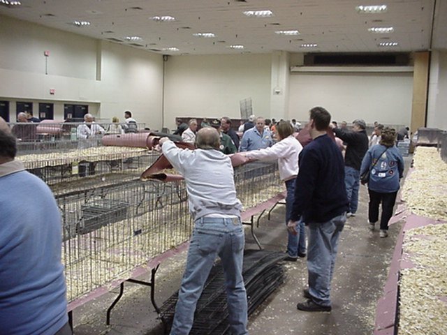 mvc175f.jpg