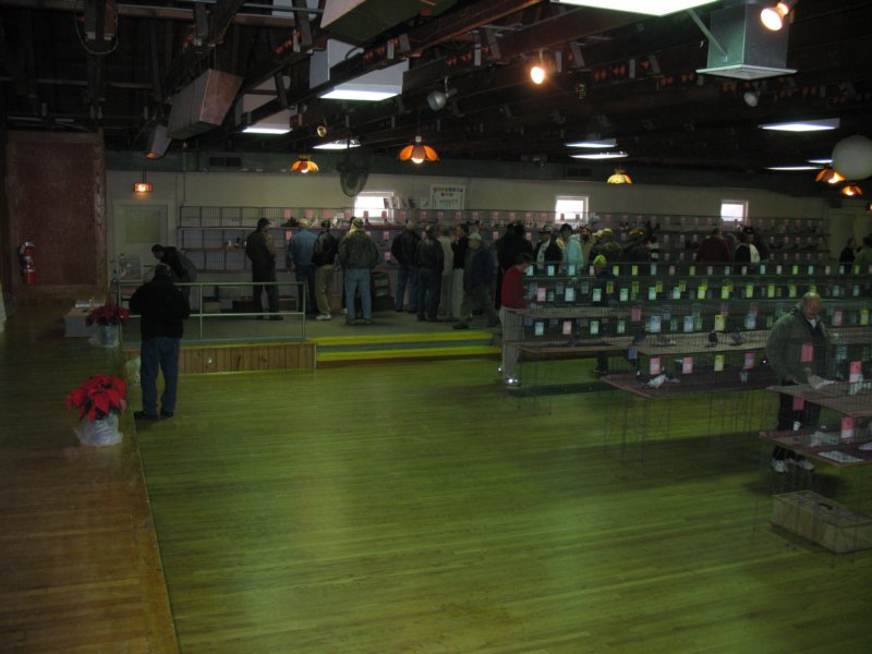 img_5642.jpg
