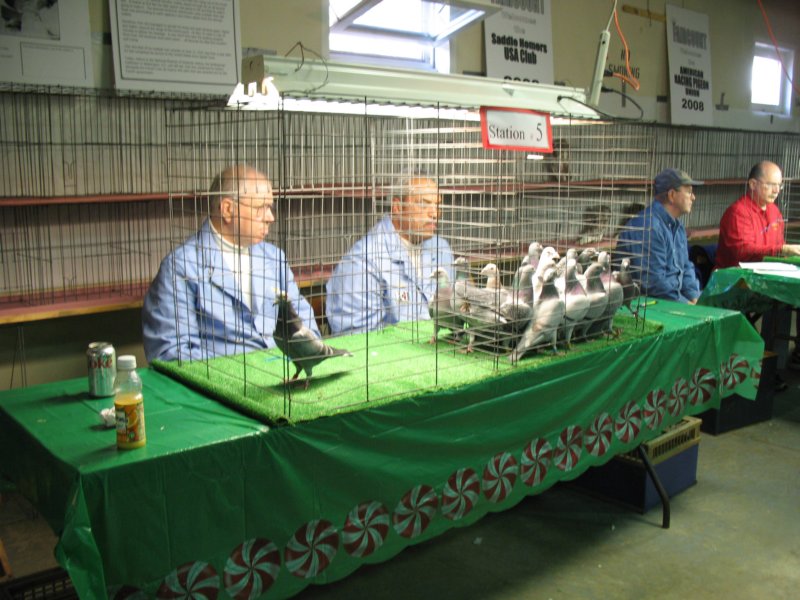img_5655.jpg