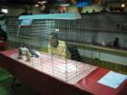 img_5658_small.jpg