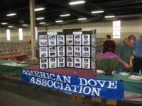 americandoveassociationdisplay2_small.jpg