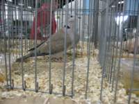 img_5349_small.jpg