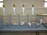 img_5354_small.jpg