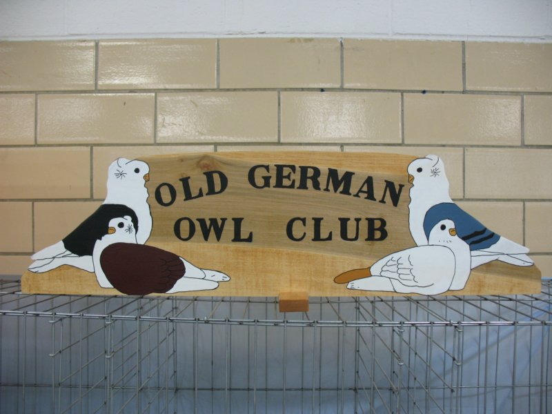 oldgermanowlarea10.jpg