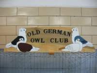 oldgermanowlarea10_small.jpg