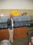 rondavisauctioneeroldgermanowls_small.jpg