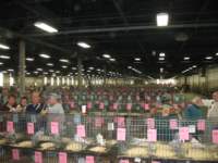 img_1391_small.jpg