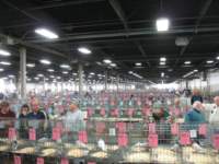 img_1392_small.jpg