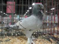 img_1401_small.jpg