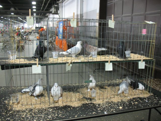 img_1408.jpg