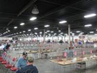 img_1431_small.jpg