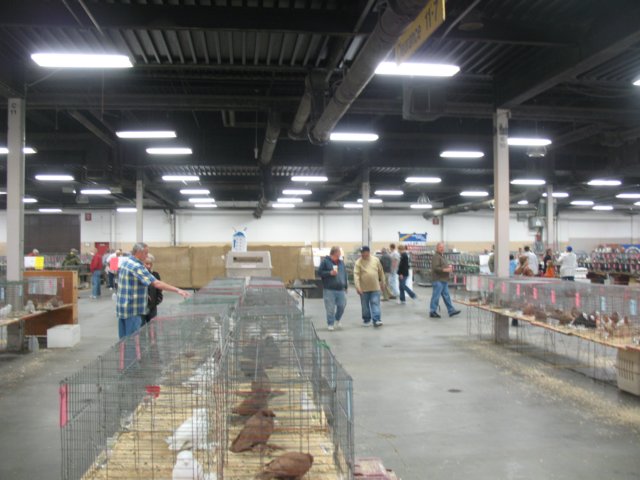 img_1433.jpg