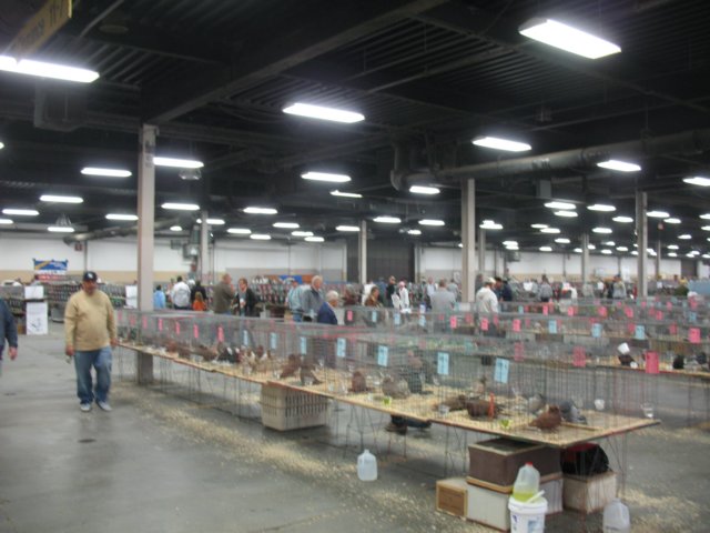 img_1434.jpg