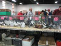 img_1438_small.jpg