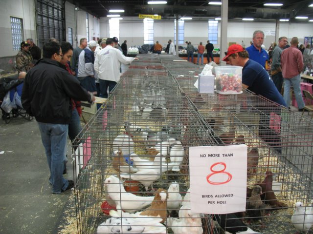 img_1439.jpg