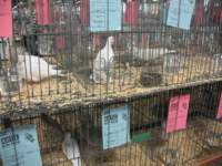 img_1443_small.jpg