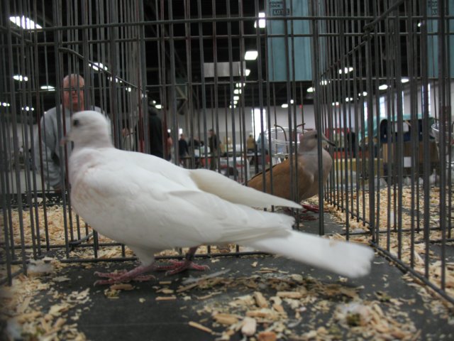img_1444.jpg
