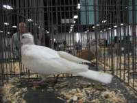 img_1444_small.jpg