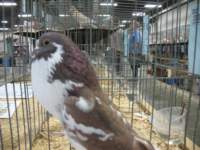 img_1461_small.jpg