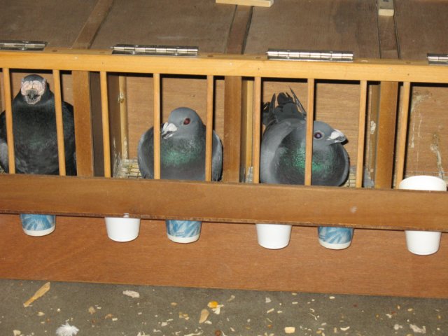 img_1489.jpg