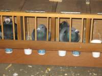 img_1489_small.jpg