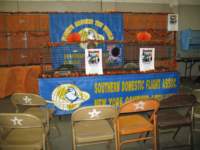 img_1490_small.jpg