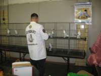 img_1493_small.jpg