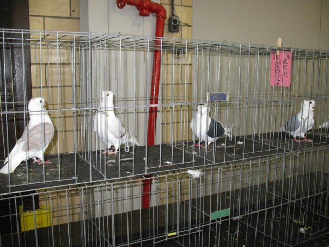 img_1526.jpg