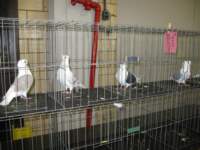 img_1526_small.jpg